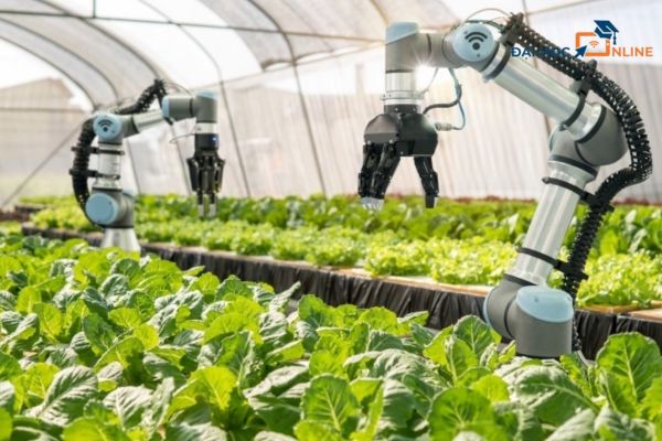 Ngành nông nghiệp công nghệ cao là gì?